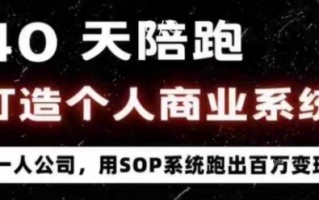 40天陪跑打造个人商业系统，一人公司，用SOP系统跑出百W变现