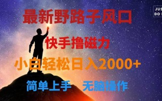 最新风口！快手撸磁力，野路子，小白无脑操作日入2000+