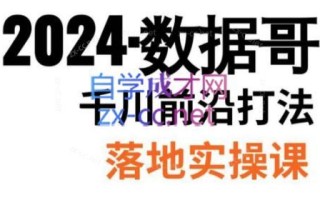 数据哥·2024年千川前沿打法落地实操课