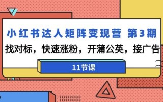 小红书达人矩阵变现营 第3期，找对标，快速涨粉，开蒲公英，接广告-11节课