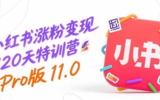 小红书涨粉变现120天特训营Pro版11.0：从0到1掌握平台运营,内容制作和变现