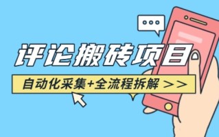 悟空采集评论搬砖_评论搬砖+自动采集【完整攻略】