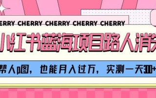 小红书蓝海项目路人消失术，帮人p图，也能月入过万，实测一天300+【揭秘】