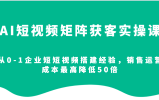 AI短视频矩阵获客实操课，从0-1企业短短视频搭建经验，销售运营成本最高降低50倍