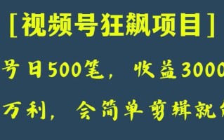 日收款500笔，纯利润3000+，视频号狂飙项目，会简单剪辑就能做【揭秘】