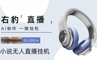 右豹小说无人直播挂机吸金项目，简单易行收益稳定， 月入1000+