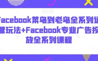 Facebook菜鸟到老鸟全系列运营玩法+Facebook专业广告投放全系列课程
