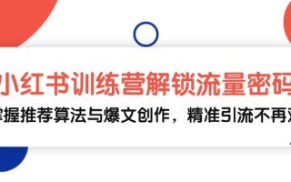 小红书训练营解锁流量密码，掌握推荐算法与爆文创作，精准引流不再难
