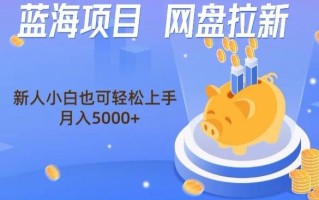 蓝海项目网盘拉新，新人小白也可操作，每月收入5000+