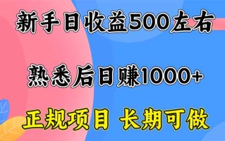 新手日收益500+ 正规项目 长期可做