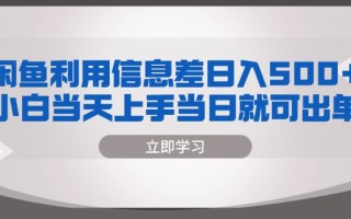 闲鱼利用信息差 日入500+ 小白当天上手 当日就可出单
