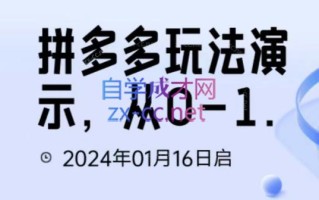 吴老师·拼多多从选品到截流到付费的玩法技巧