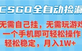 CSGO自动捡漏项目，最新独家玩法，一个手机可操作，新手小白轻松月入1W+，操作简单易上手【揭秘】