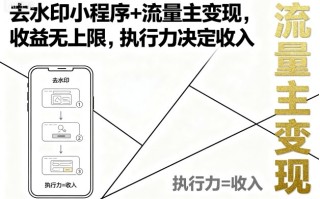 去水印小程序+流量主变现，收益无上限，执行力决定收入