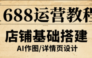 辉哥·1688高级运营课程