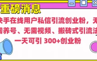 快手最新引流创业粉方法，无需养号、无需视频、搬砖式引流法【揭秘】