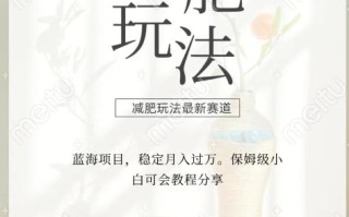 减肥流量主新玩法，轻松月入1W，可矩阵操作收入翻倍