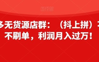 拼多多无货源店群：（抖上拼）不推广不刷单，利润月入过万！【揭秘】