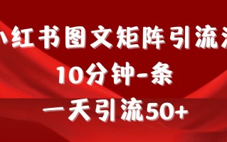 (9538期)《小红书图文矩阵引流法》 10分钟-条 ，一天引流50+