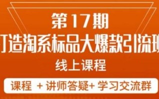 南掌柜-第17期打造淘系标品大爆款，5天线上课