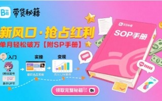 B站哔哩哔哩带货秘籍，新风口，抢占红利，单月轻松破万【附SOP手册】