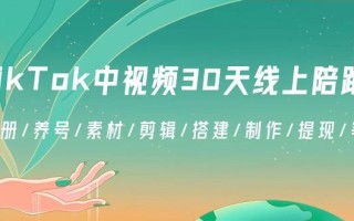 TikTok中视频-30天线上陪跑班：注册/养号/素材/剪辑/搭建/制作/提现/等等
