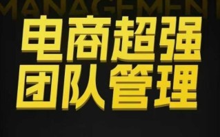 电商超强团队管理，组织绩效，到用人执行，分权合伙