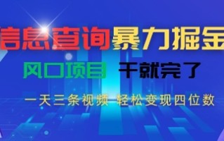信息查询暴力掘金，一天三条视频，轻松变现四位数，风口项目干就完了【揭秘】