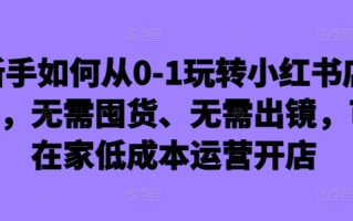 新手如何从0-1玩转小红书店铺，无需囤货、无需出镜，可在家低成本运营开店