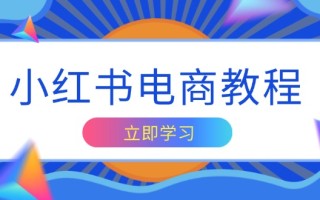 小红书电商教程，掌握帐号定位与内容创作技巧，打造爆款，实现商业变现