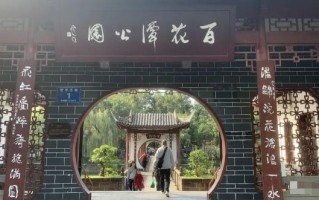 某公众号付费文章，壬戌癸亥月剧本之“锦鲤龙行”，见者好运