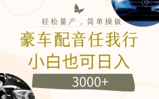 不为人知的暴力小项目，豪车配音，日入几张【揭秘】