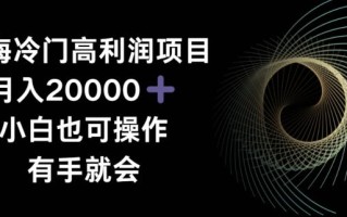 蓝海冷门高利润项目月入2000，小白也可操作有手就会