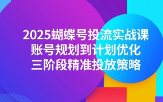 2025蝴蝶号投流实战课，账号规划到计划优化，三阶段精准投放策略