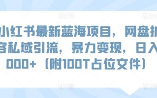 小红书最新蓝海项目，网盘扩容私域引流，暴力变现，日入1000+(附100T占位文件)【揭秘】