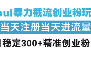 Soul暴力截流创业粉玩法，当天注册当天进流量，日稳定300+精准创业粉丝
