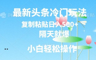 最新头条冷门玩法，隔天就爆，复制粘贴日入500+