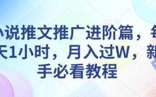 小说推文推广进阶篇，每天1小时，月入过W，新手必看教程