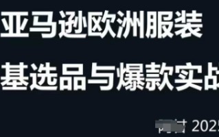 跨境电商选品案例24-25年，聚焦跨境电商选品策略与运营优化，助力卖家挖掘蓝海市场