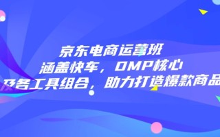 京东电商运营班：涵盖快车，DMP核心及各工具组合，助力打造爆款商品