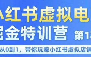 小红书虚拟电商掘金特训营第1期，从0到1，带你玩转小红书虚拟店铺