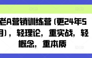 老A营销训练营(更24年6月)，轻理论，重实战，轻概念，重本质