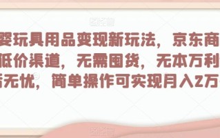 母婴玩具用品变现新玩法，京东商城超低价渠道，简单操作可实现月入2万+【揭秘】