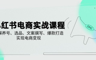 小红书电商实战课程，详解养号、选品、文案撰写、爆款打造，实现电商变现