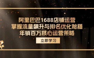 阿里巴巴1688店铺运营，掌握流量飙升与排名优化秘籍 年销百万核心运营策略