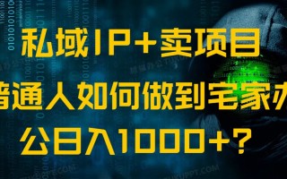 私域IP+卖项目，普通人如何做到宅家办公实现日入1000+
