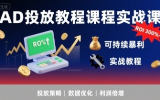 AD投放教程课程实战课，实现广告ROI300%+可持续暴利