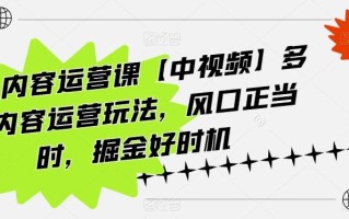 海外内容运营课【中视频】多种内容运营玩法，风口正当时，掘金好时机
