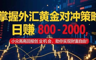 掌握外汇黄金对冲策略，日赚 800 – 2000，小众高回报创业机会，助你实…