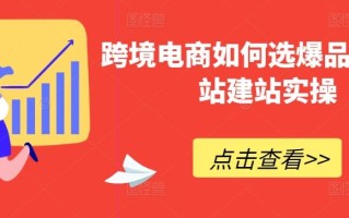 跨境电商如何选爆品，独立站建站实操